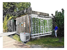 Collage Vertical Water-Farm. Foto & Graphik: Grit Bürgow & Tim Nebert
